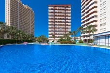 Apartment in Calpe / Calp - Apartment for rent in Calpe CORAL BEACH