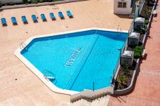 Apartment in Calpe / Calp - appartment for rent in Calpe ANAIS