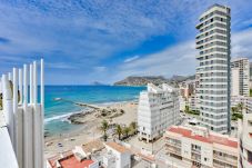 Apartment in Calpe / Calp - Apartment to rent in Calpe, REYNA