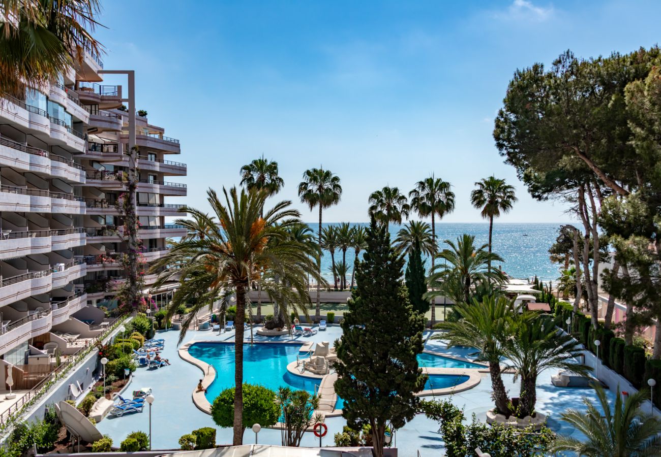 Apartment in Calpe / Calp - Apartment for rent in Calpe PARAISO MAR