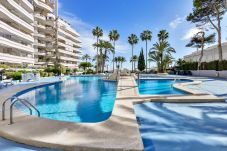 Apartment in Calpe / Calp - Apartment for rent in Calpe PARAISO MAR