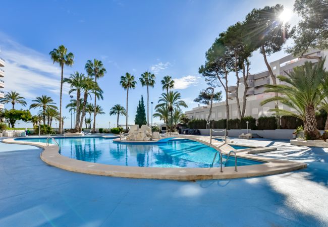 Apartment in Calpe - Paraiso Mar Apartments in Calpe VICTORIA
